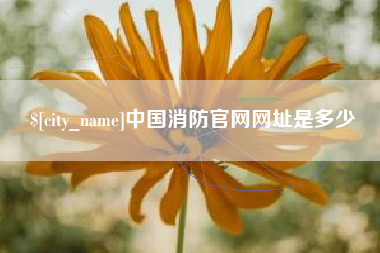绵阳中国消防官网网址是多少