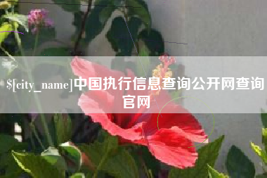 绵阳中国执行信息查询公开网查询官网