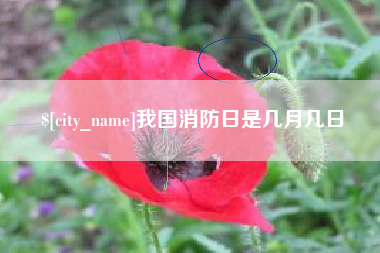 绵阳我国消防日是几月几日