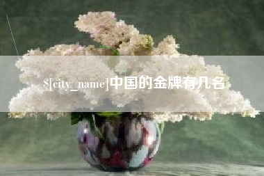 绵阳中国的金牌有几名