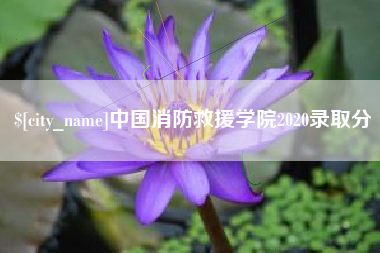 绵阳中国消防救援学院2020录取分
