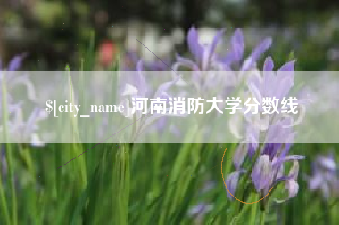 绵阳河南消防大学分数线