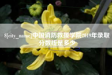 绵阳中国消防救援学院2019年录取分数线是多少