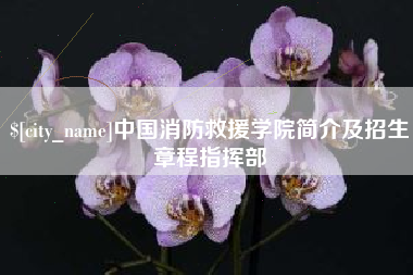 绵阳中国消防救援学院简介及招生章程指挥部