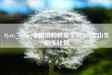 绵阳中国消防救援学院2021年山东招生计划