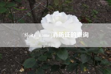 绵阳消防证的查询