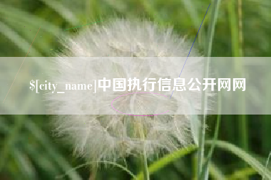 绵阳中国执行信息公开网网