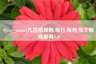 绵阳九宫格规则,每行,每列,每个粗线都有1-9