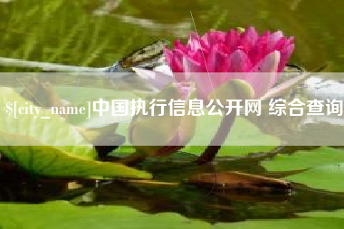 绵阳中国执行信息公开网 综合查询