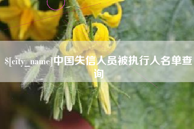 绵阳中国失信人员被执行人名单查询