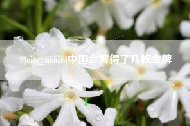 绵阳中国金牌得了几枚金牌