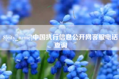 绵阳中国执行信息公开网客服电话查询