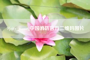 绵阳中国消防官方二维码图片