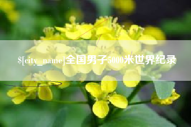 绵阳全国男子5000米世界纪录