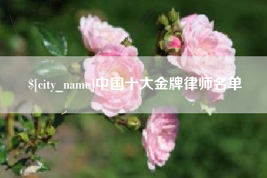 绵阳中国十大金牌律师名单