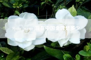 绵阳现在中国金牌是多少