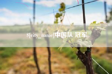 绵阳中国队 冠军