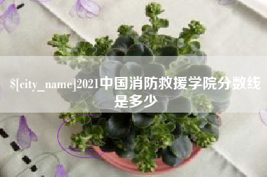绵阳2021中国消防救援学院分数线是多少