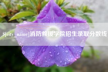 绵阳消防救援学院招生录取分数线