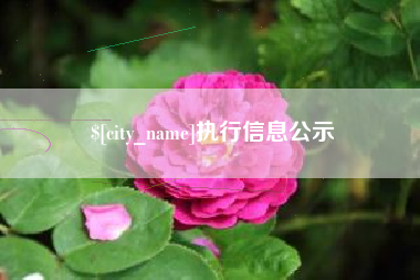 绵阳执行信息公示