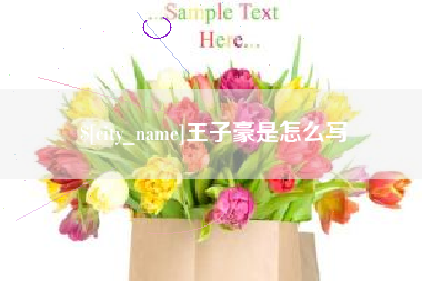 绵阳王子豪是怎么写