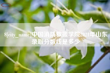绵阳中国消防救援学院2021年山东录取分数线是多少