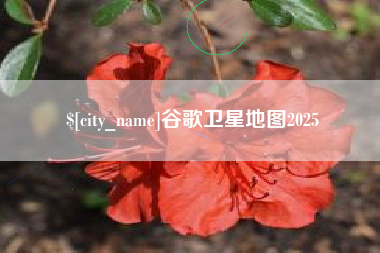 绵阳谷歌卫星地图2025