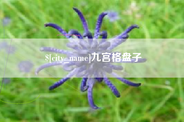 绵阳九宫格盘子