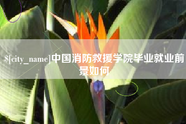 绵阳中国消防救援学院毕业就业前景如何