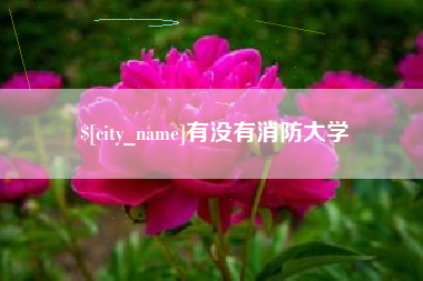 绵阳有没有消防大学