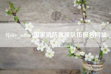 绵阳国家消防救援队伍报名网址