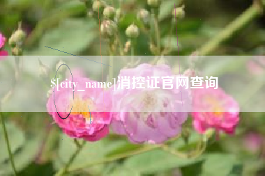 绵阳消控证官网查询
