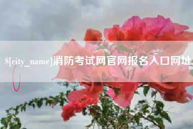绵阳消防考试网官网报名入口网址