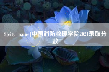 绵阳中国消防救援学院2021录取分数