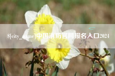 绵阳中国消防官网报名入口2024