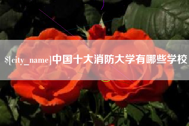 绵阳中国十大消防大学有哪些学校