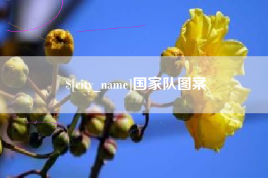 绵阳国家队图案