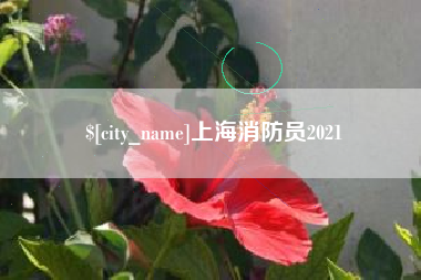 绵阳上海消防员2021