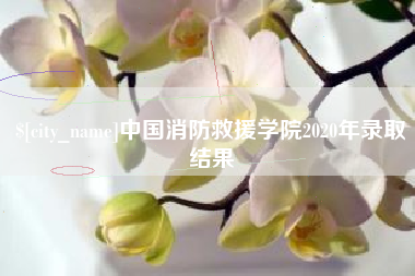 绵阳中国消防救援学院2020年录取结果
