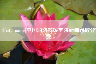 绵阳中国消防救援学院新疆录取分数