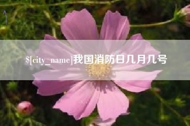 绵阳我国消防日几月几号