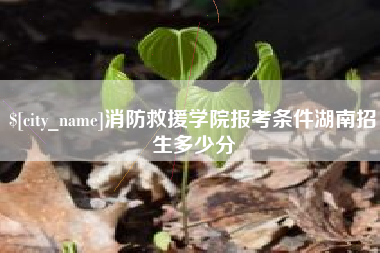 绵阳消防救援学院报考条件湖南招生多少分