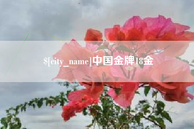 绵阳中国金牌18金