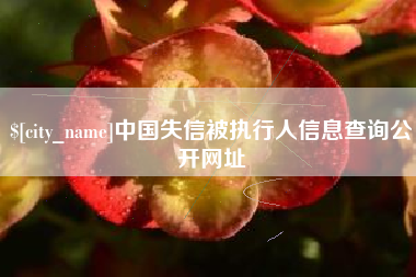 绵阳中国失信被执行人信息查询公开网址