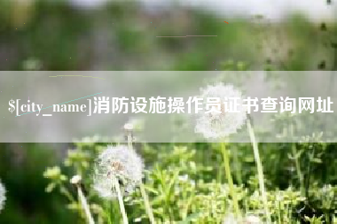 绵阳消防设施操作员证书查询网址