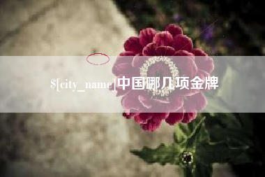 绵阳中国哪几项金牌