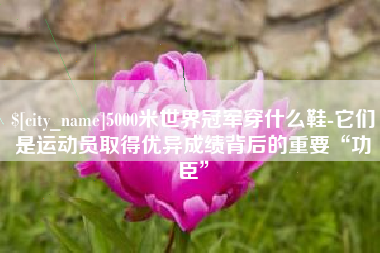 绵阳5000米世界冠军穿什么鞋-它们是运动员取得优异成绩背后的重要“功臣”
