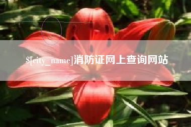 绵阳消防证网上查询网站