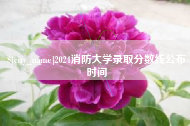 绵阳2024消防大学录取分数线公布时间
