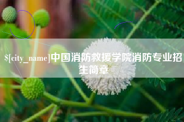 绵阳中国消防救援学院消防专业招生简章